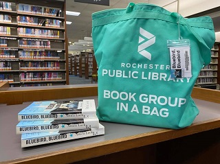 bag of books sitting on table