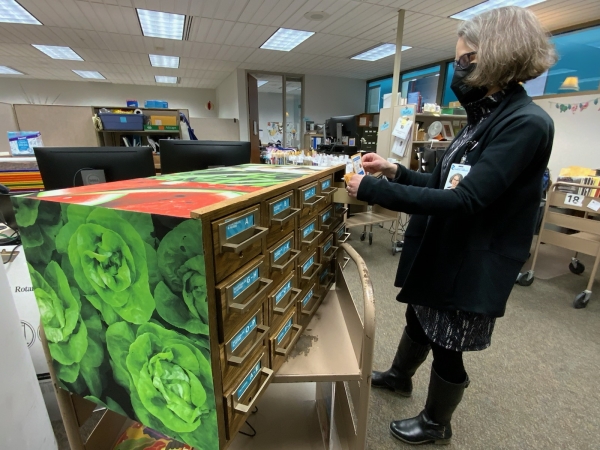 Staff member sorting seeds